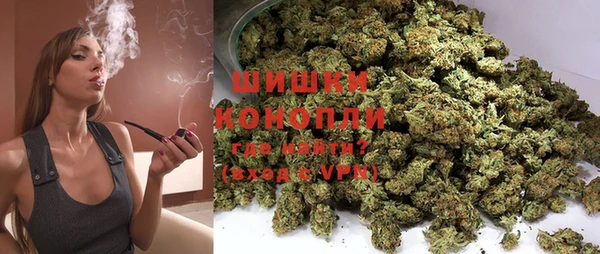 ГАЛЛЮЦИНОГЕННЫЕ ГРИБЫ Новодвинск