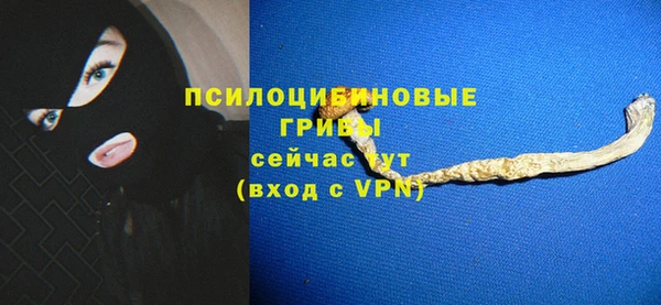 мдпв Няндома