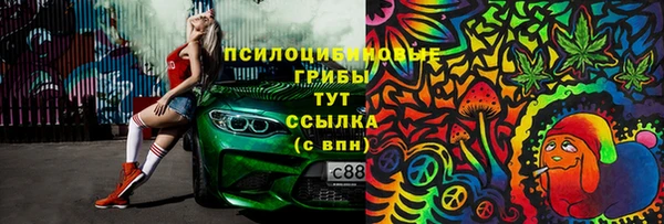 мдпв Няндома