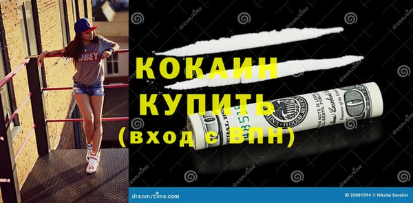 ГАЛЛЮЦИНОГЕННЫЕ ГРИБЫ Новодвинск